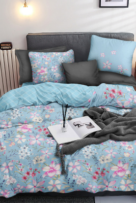 КПБ Павлайн Naturelle Авиньон 2 сп. голубой